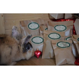 Adventskalender Kaninchen & Nager *versandkostenfrei*