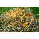 Genuss Heumix 250g (verschiedene Variationen)
