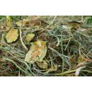 Genuss Heumix 250g (verschiedene Variationen)