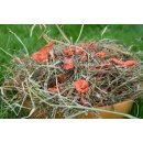 Genuss Heumix 250g (verschiedene Variationen)