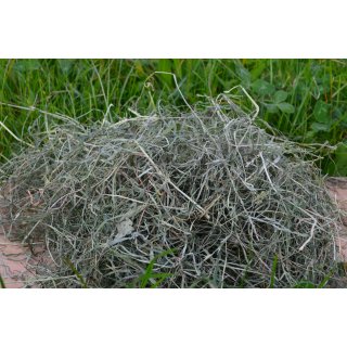 Heu 2. Schnitt 2024 3,5kg