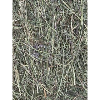 Heu 1. Schnitt 2025 zartere Halme