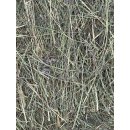 Heu 1. Schnitt 2025 zartere Halme