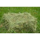 Heu 1. Schnitt 2025 zartere Halme