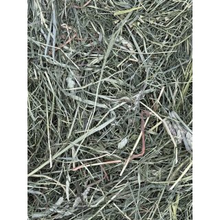 1. Schnitt 2025 zarte & kräfigere Halme